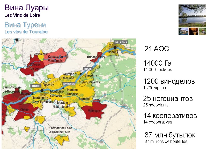 39 Вина Луары Les Vins de Loire  Вина Турени  Les vins de